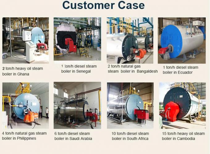 Le biogaz diesel de gaz naturel de lpg de série de WNS a mis le feu à la chaudière à vapeur pour l'industrie textile
